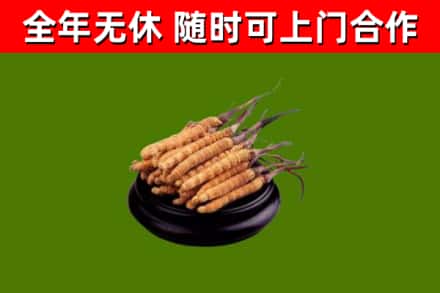 息烽烟酒回收冬虫夏草.jpg